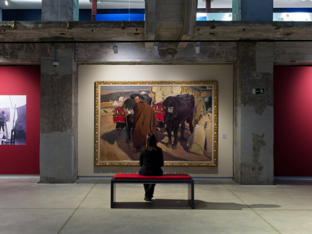 visitante obra sorolla